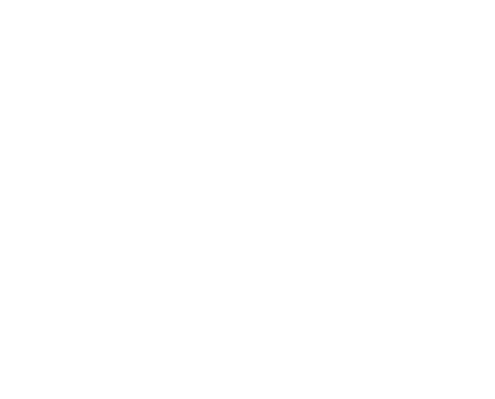 MVM VIP Design